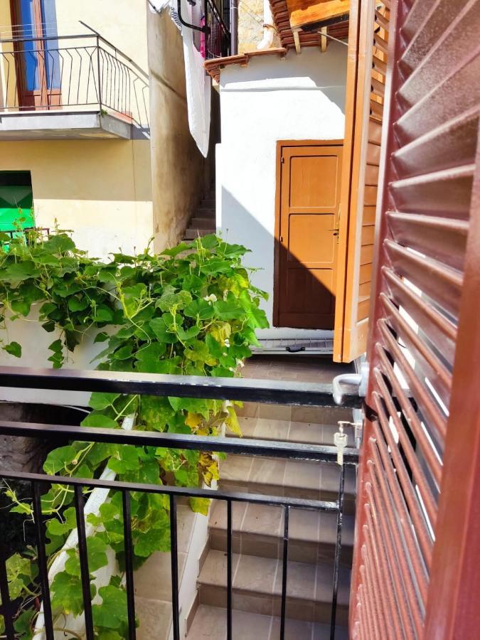 Villa Da Piero & Lilia Centola Exterior foto